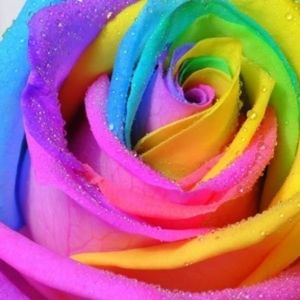 This account is now closed